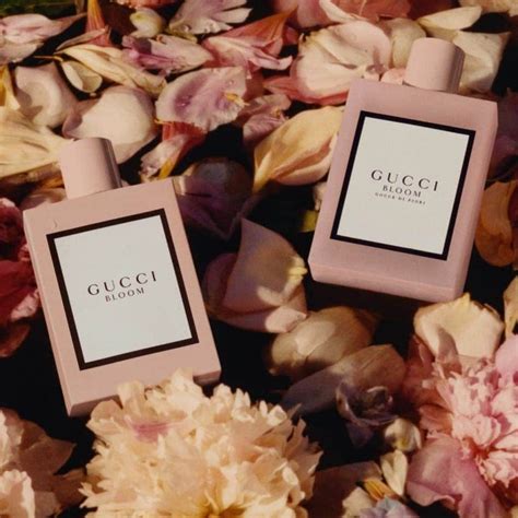 giá gucci bloom|gucci bloom release date.